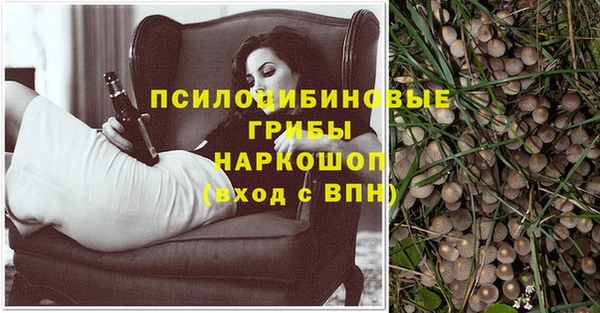 MESCALINE Гусев