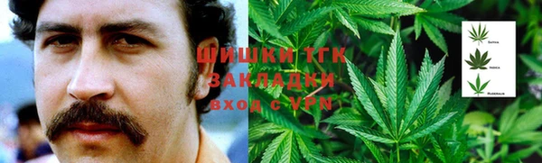 мяу мяу мука Гусиноозёрск