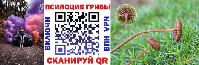 Купить закладки Мураши Галлюциногенные грибы прущие грибы